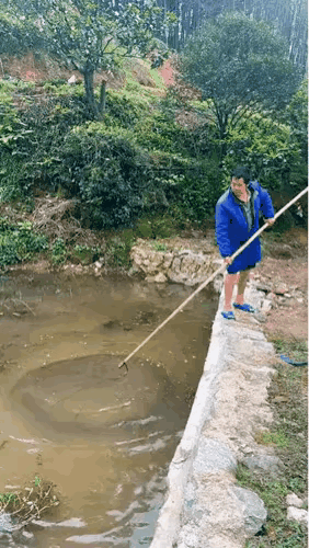 池塘虽小，鱼虾不少