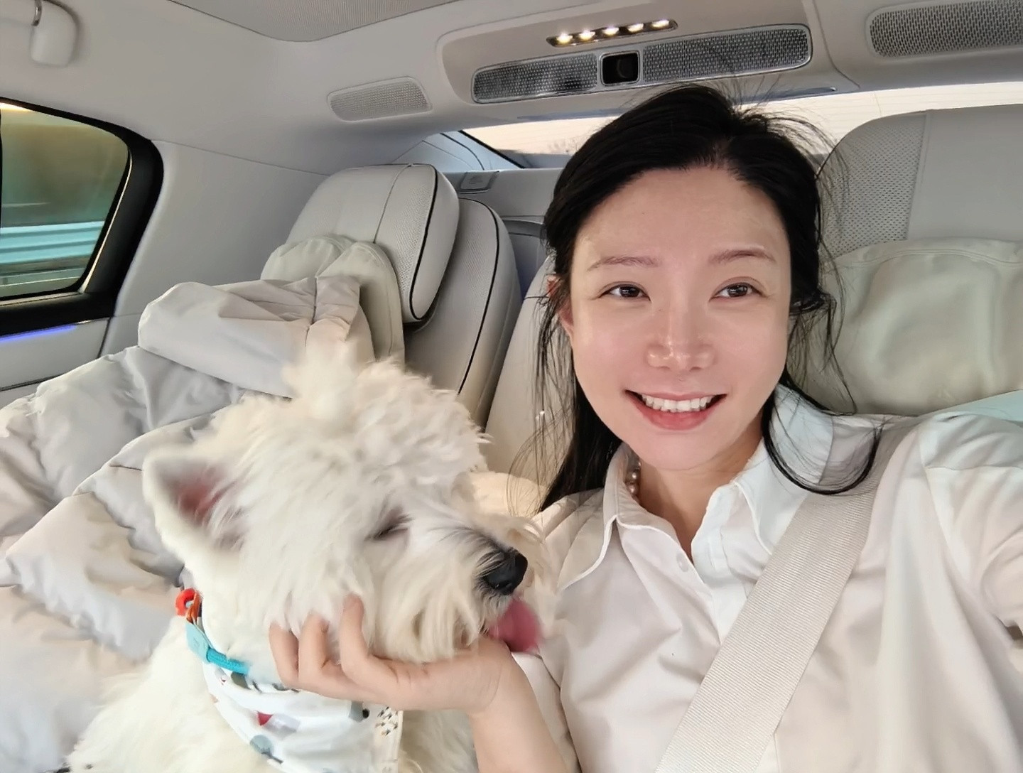 小狗真的好喜欢和妈妈一起坐车呀尊界s800后排中央扶手不仅宽，还能加热，有财非