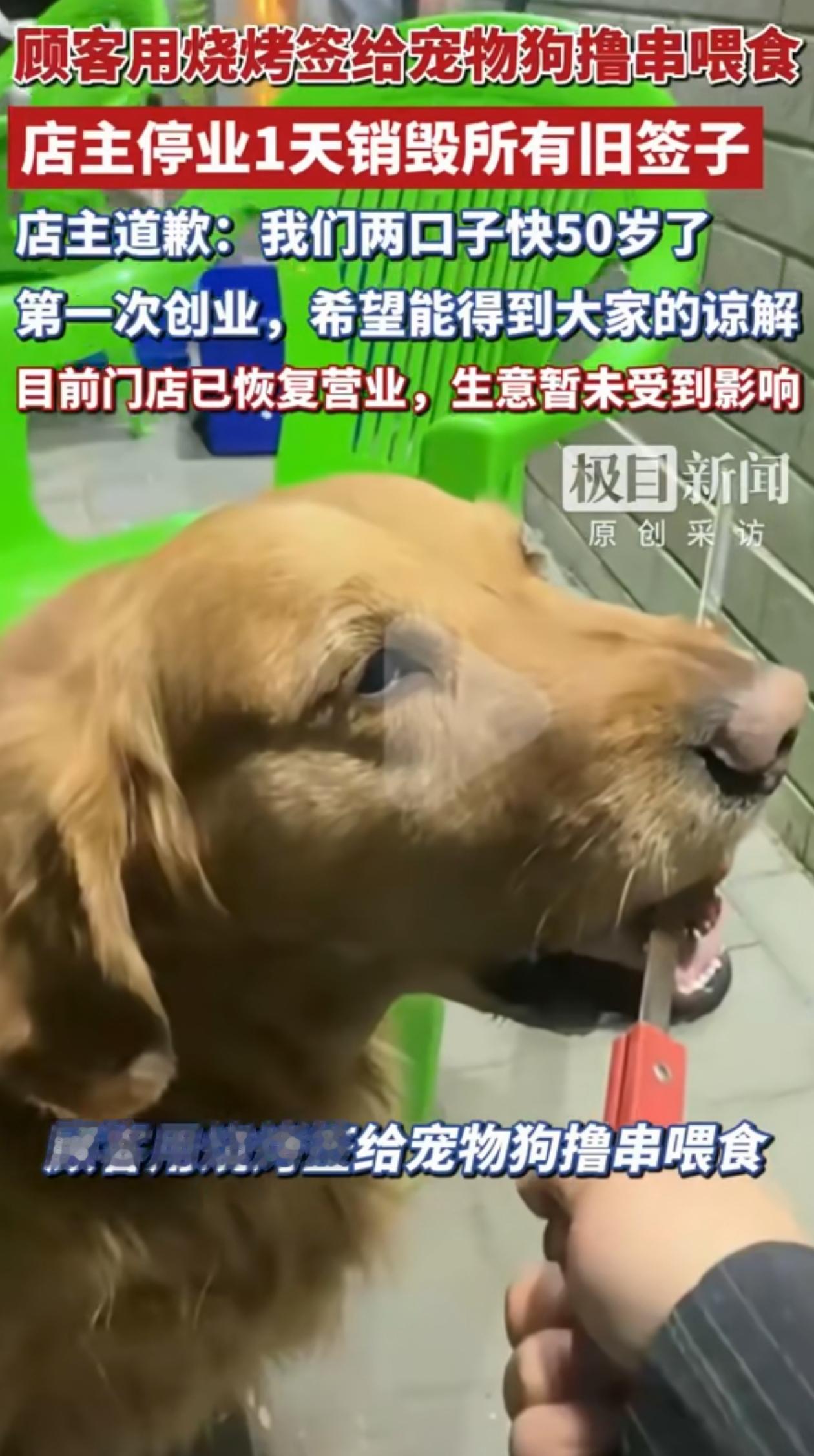 伤害性不高，侮辱性极强！内蒙古赤峰，一位顾客带狗去吃烧烤，用店里公用的烧烤铁签子