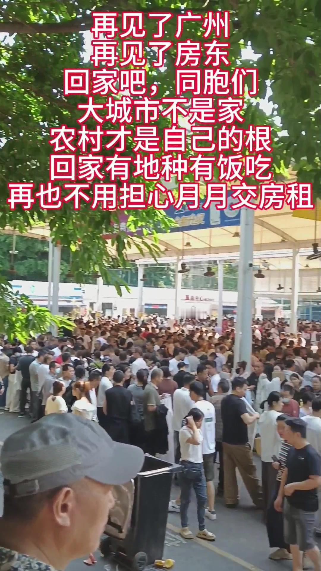 告别广州，我要回家种地啦！在大城市打拼多年，终于决定离开这里。不是不喜欢，只是被