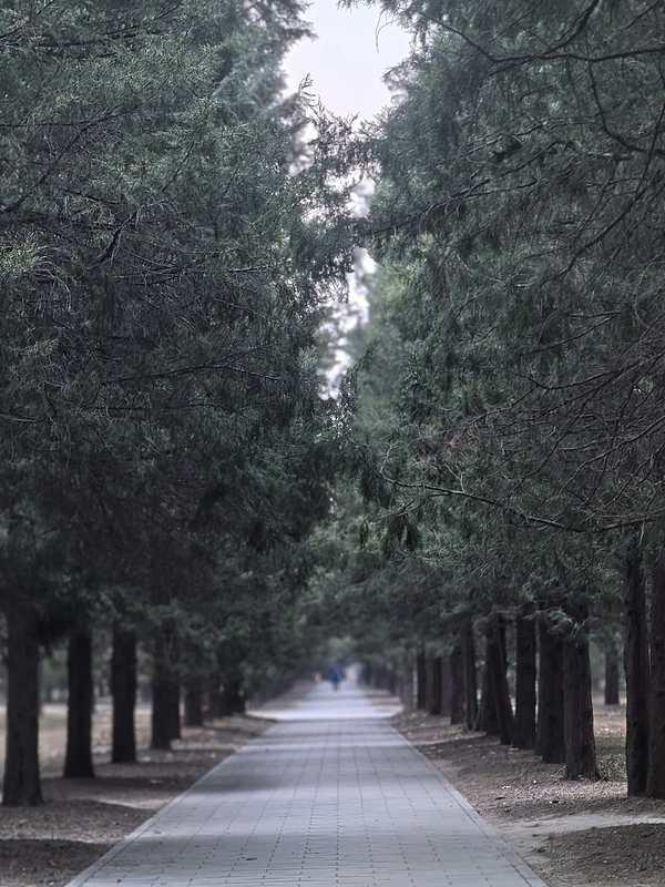在高校待得久了，你会发现一个很蹊跷的现象：有些老师本身没什么真才实学，课讲得一塌