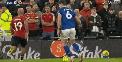 人高马大的中卫，比范戴克不差多少！给曼联两人整自闭了！埃弗顿队长，塔尔科夫斯基