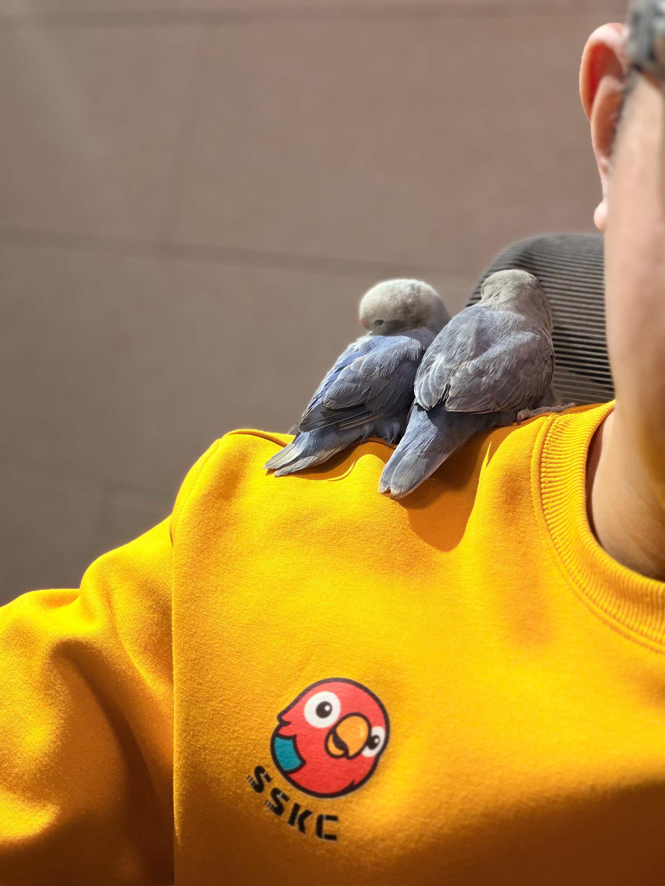 这下知道为啥我们要换这个新logo了吧✌️(＾▽＾)✌️