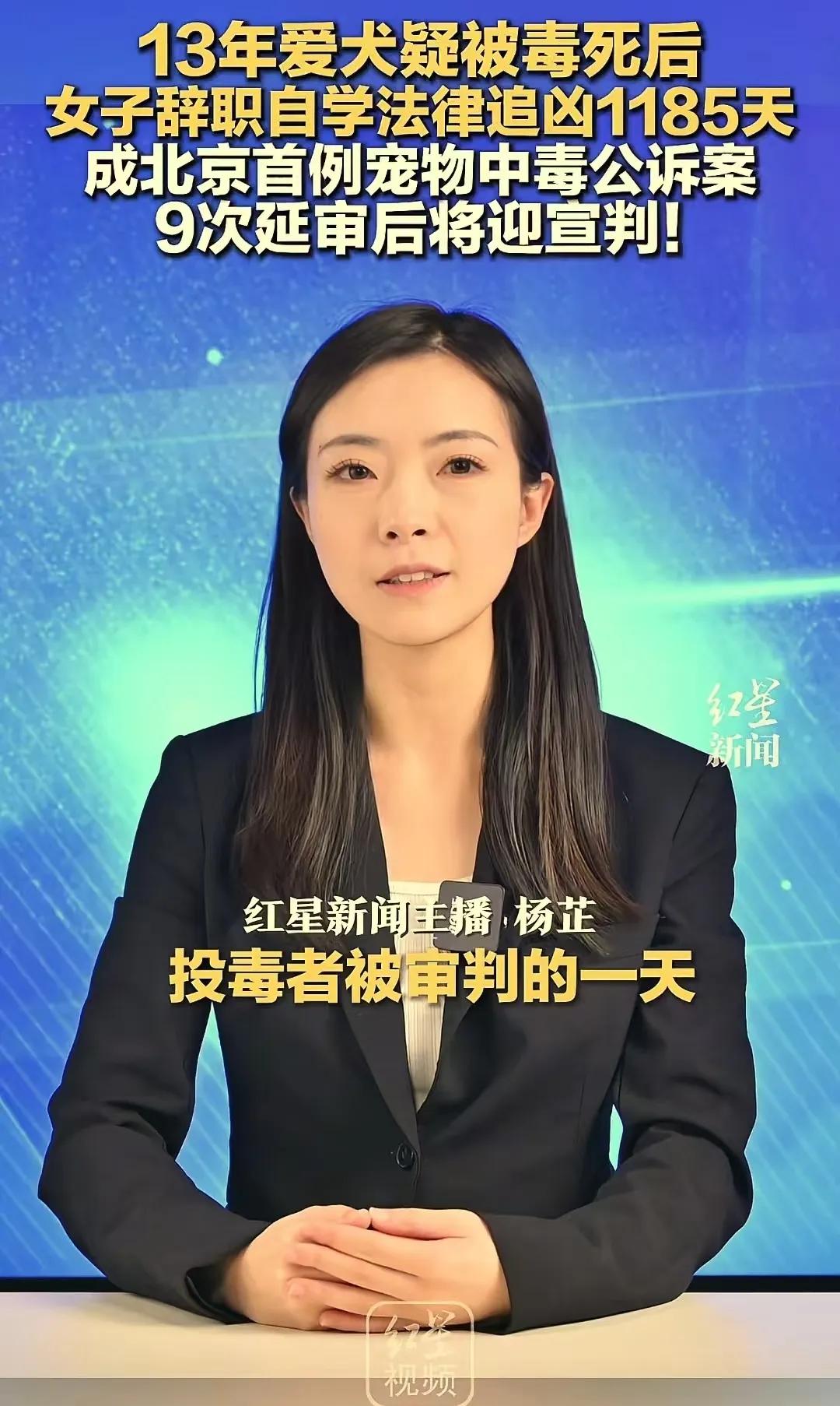 养了13年的爱犬突然被毒死，这个消息犹如晴天霹雳，把一个原本平静的生活瞬间炸得粉