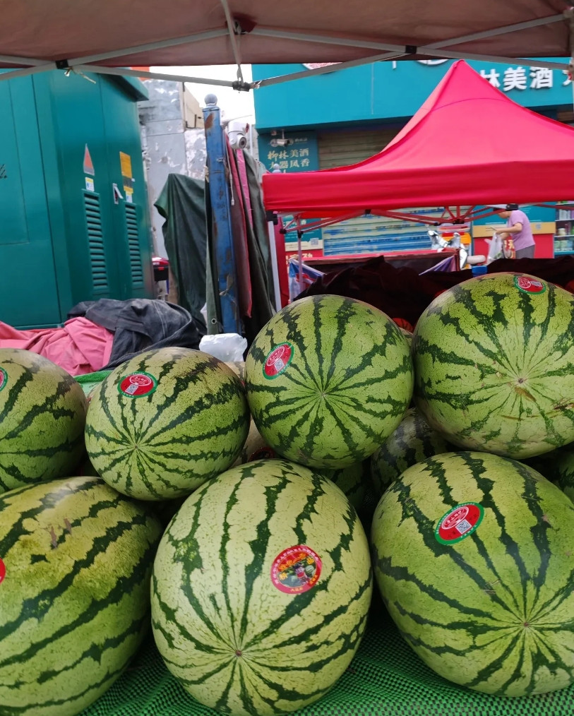我算是明白了宁夏西瓜卖不动的原因。今年西安市场上的宁夏瓜特别多，而且价格便宜