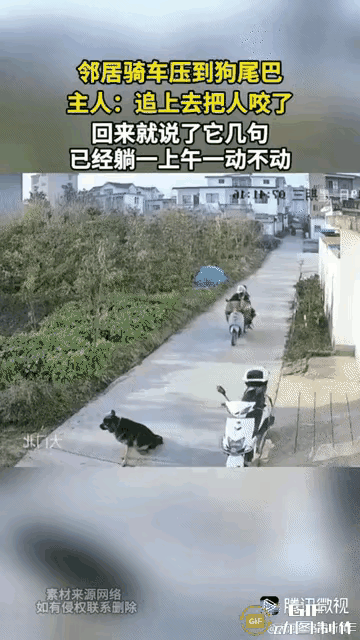 狗子说不得了，还知道闹情绪了。这可咋整？饿它几顿是不是就好了。