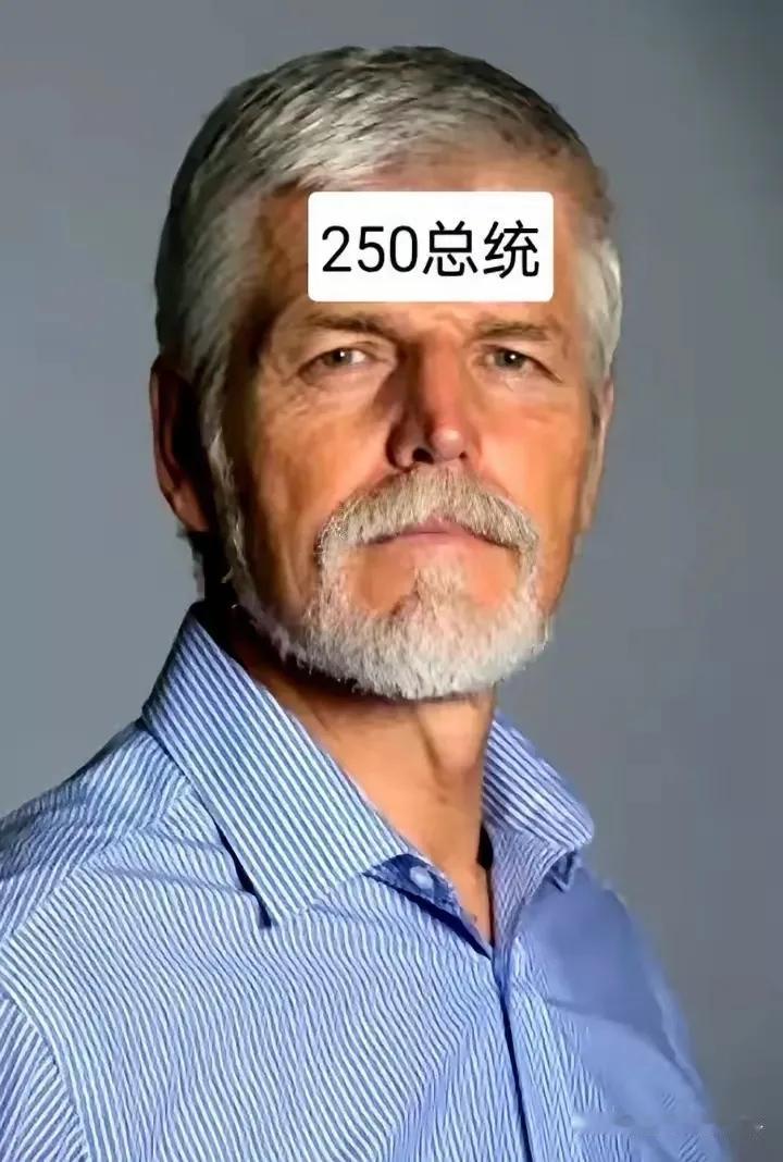 斯柯达和捷克经济的关系，那可真是“一荣俱荣，一损俱损”。作为捷克的“国民车企”，