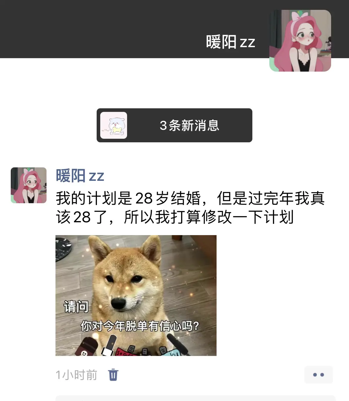 积极相亲，争取明年结婚！