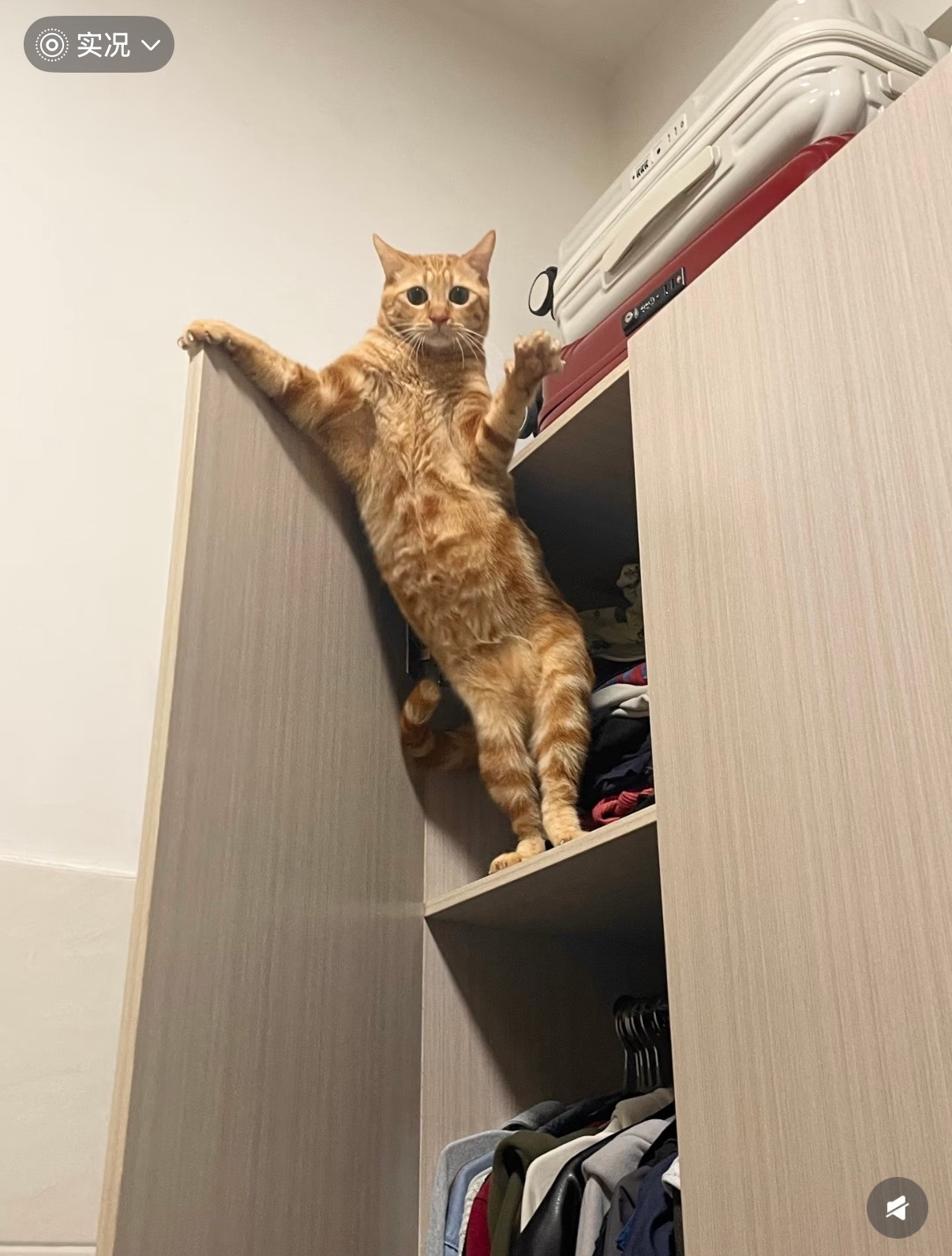 课本上不会讲的炸裂冷知识1、婚前，发生多少次关系，对谁也不能说。2、有实验证明，