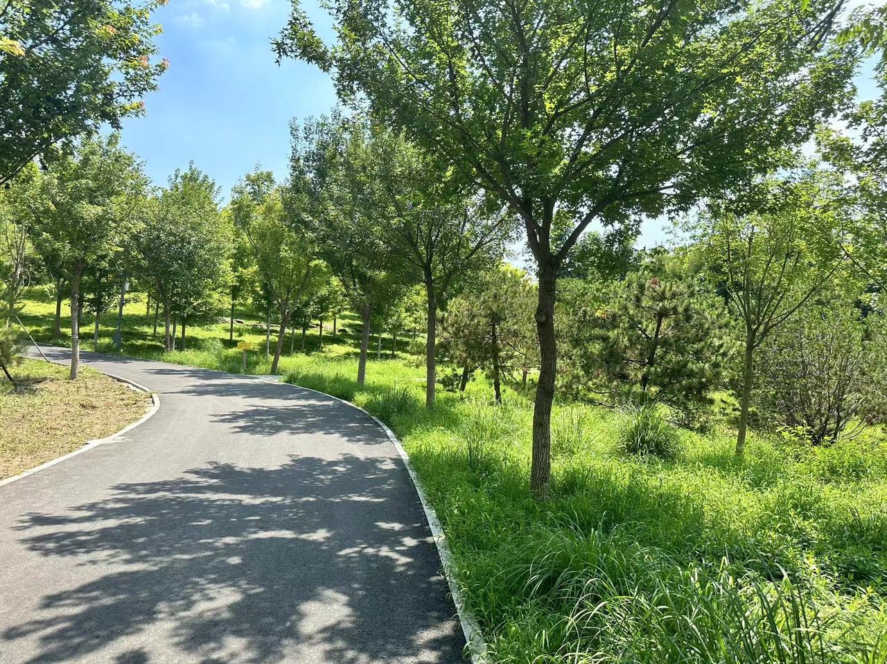 我觉得有一些歌曲无论谁翻唱，都不可能超过原唱，有没有也是你心中的经典？费玉