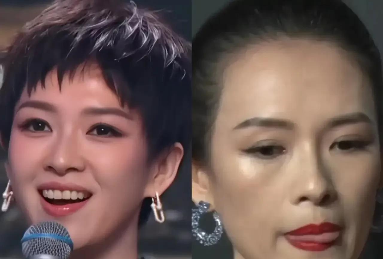都在说章子怡剪短发好看，我一眼就看出来是假发。首先章子怡的发量绝对没这么多，其