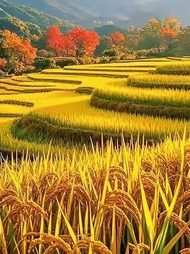 如何活出与众不同与众不同，不是刻意标新立异，不是故意与世界为敌，而是清醒