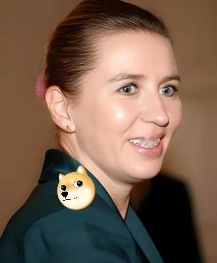 丹麦的两个国际笑话：一、丹麦女首相为了讨好美国，像疯狗一样咬中国，结果美国现在要
