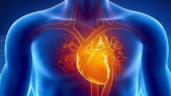 心血管疾病年轻化已成为不容忽视的公共卫生警钟。这一“头号杀手”正从代谢异常演变为