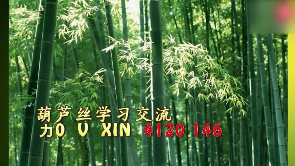 葫芦丝独奏 风中的葫芦
