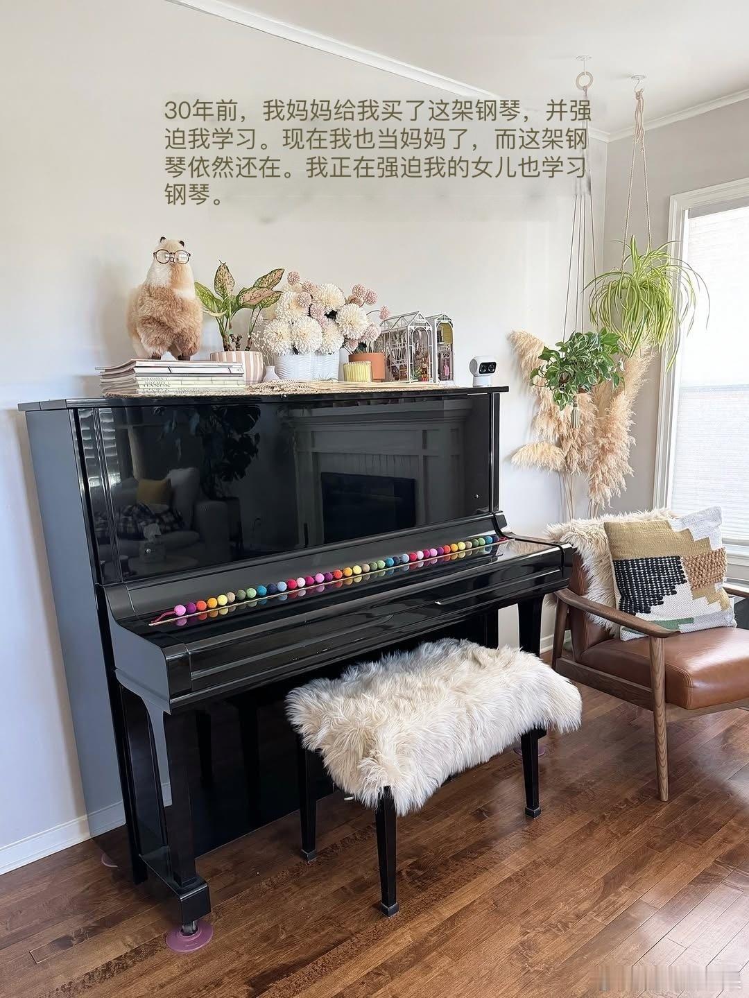 家族传统，小猫咪也不能例外🎹😅cr：patches.lima​​​