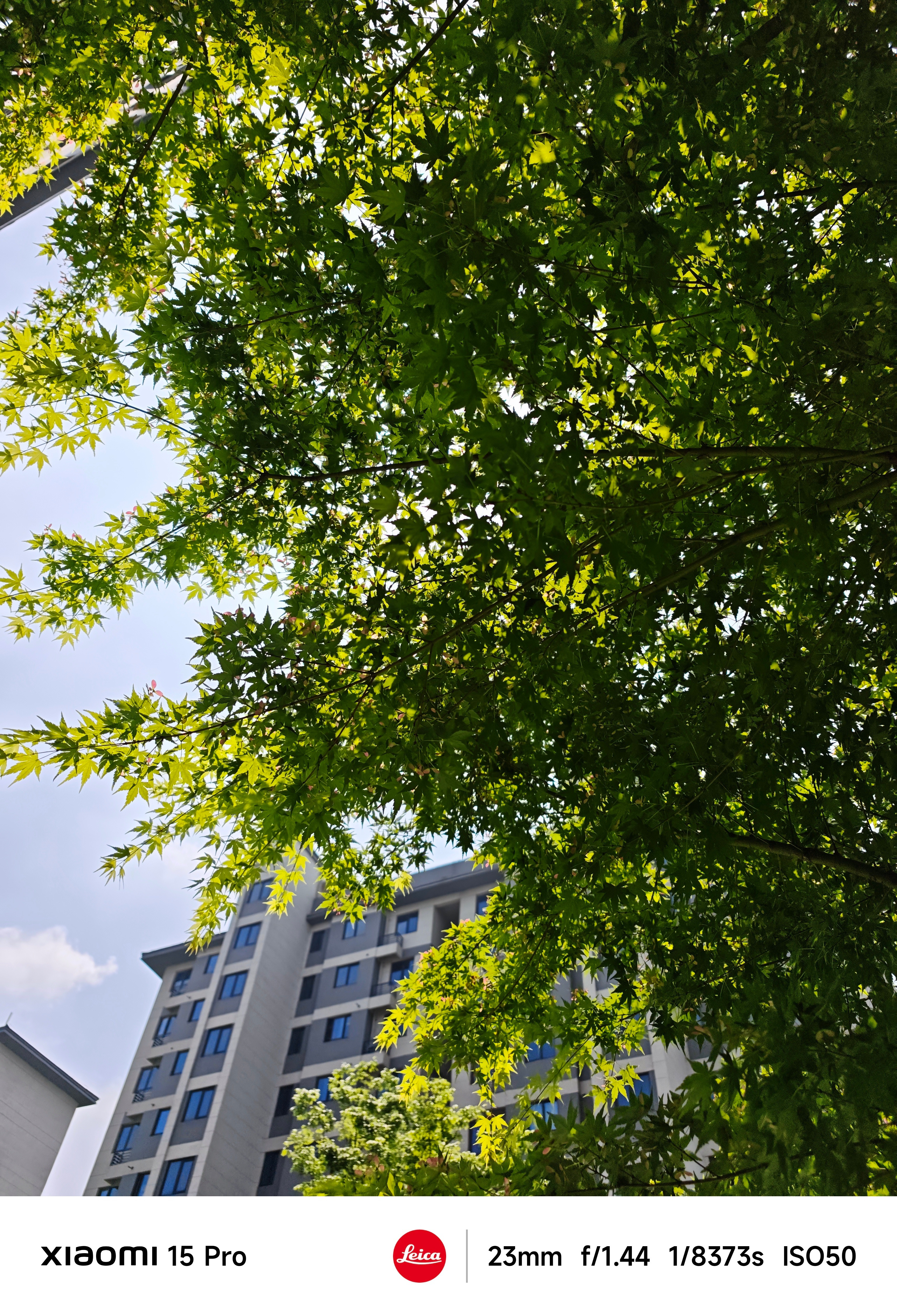 今天上午又去看房子去了又遇到新难题上次看的小高层，总高11楼，9楼的房子，