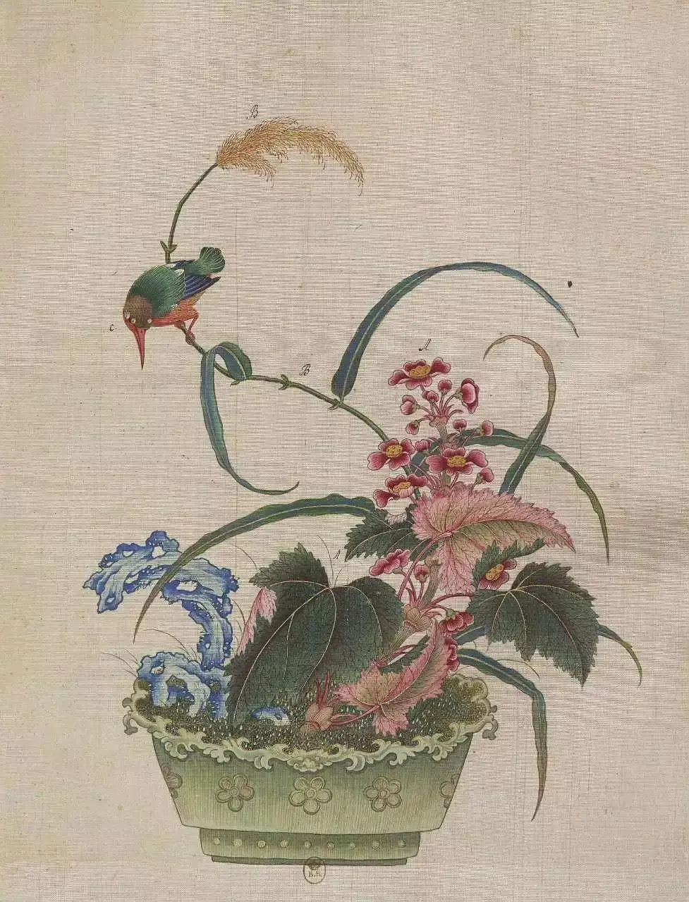 清代外销画盆景花鸟图册，十八世纪，绘制各色花鸟草虫，花卉盆景，绘制的花卉内容丰富