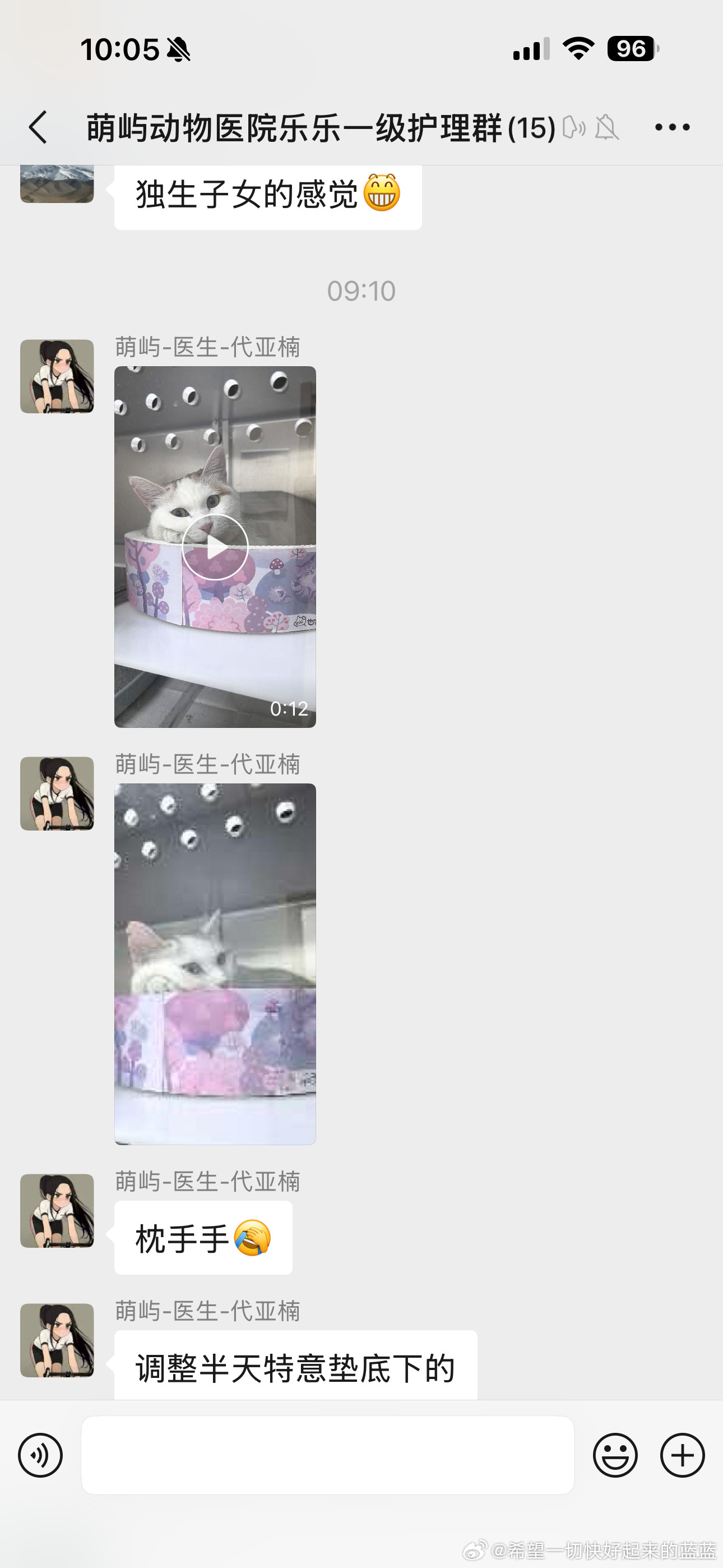 今天的美好事情大家还记得这个流浪猫吗我们当时只知道被同小区的邻居领养了今天猫咪似乎是体检医院群的医生