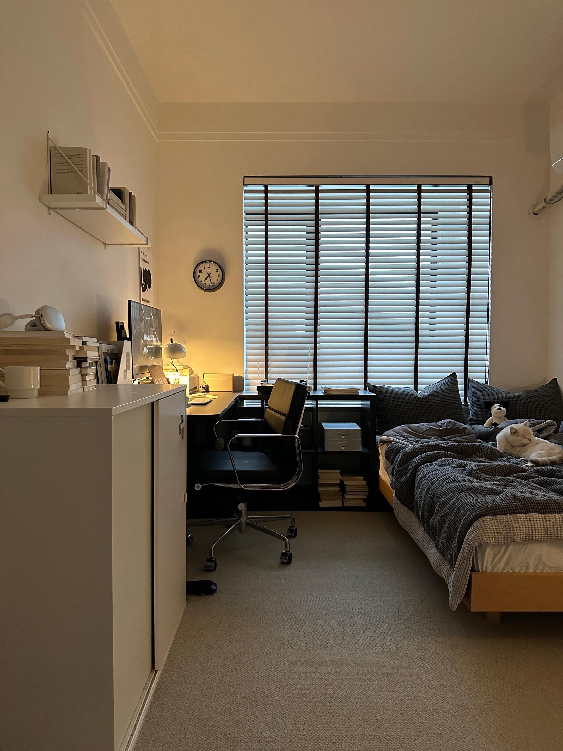 傍晚 听歌 infj 一个人住。