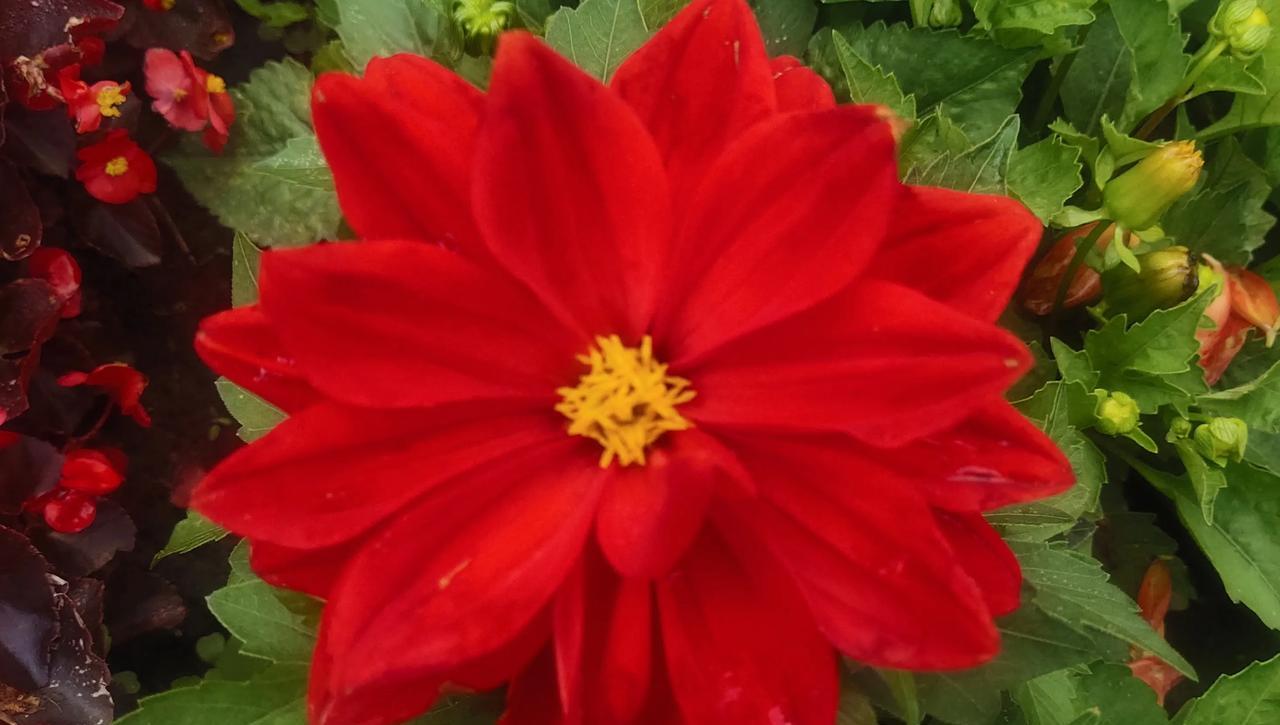 年轻人的钱都花哪去了？昨天，儿子说今天是孙子的生日，告诉我们不要做饭了，出去上饭