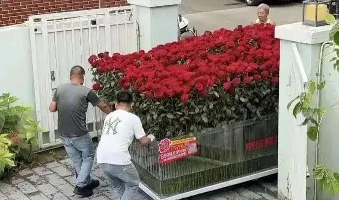 “有钱就是任性！”山东一小伙，为了在七夕节给女朋友一个惊喜，直接在网上花了969