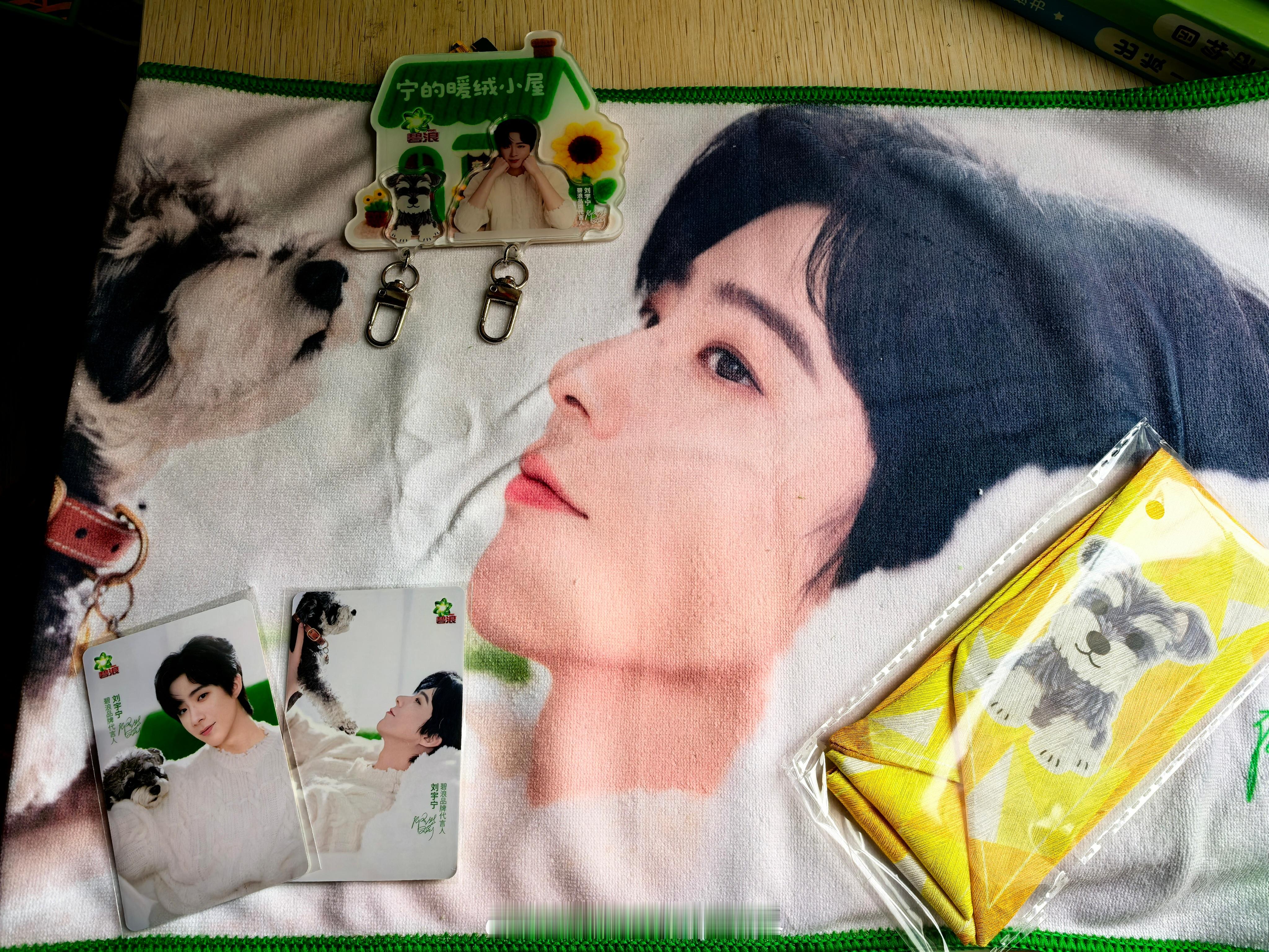 刘宇宁的2025巡演 🐾刘宇宁玫瑰丛生🐾摩登兄弟 岁岁有宁一路