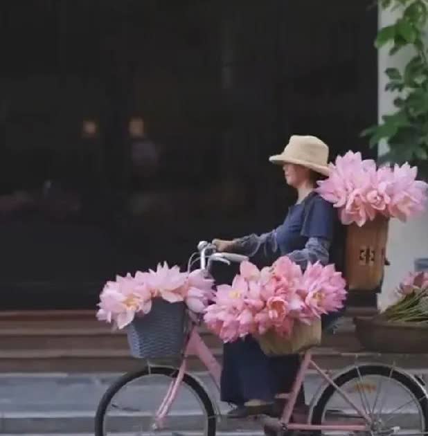 这画面太唯美了！在广东湛江的街头上，一辆满载着荷花的单车映入路人的眼帘，