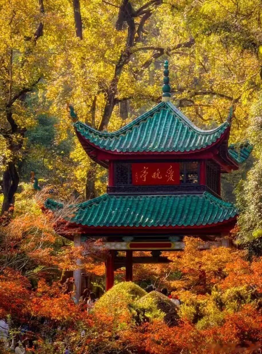 【长沙成为全国赏秋热门目的地TOP1】同程旅行近日发布的预测报告里，长沙在“跟着
