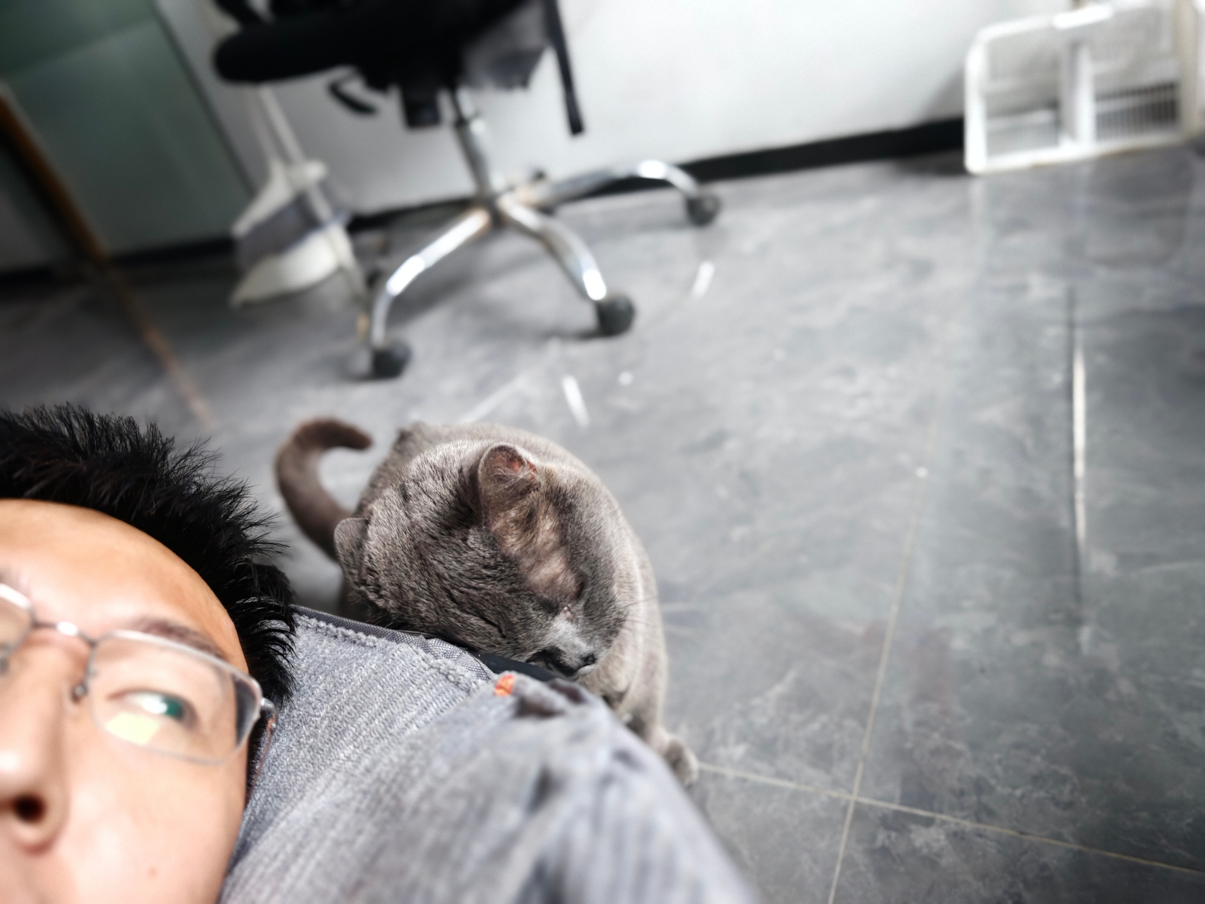 办公室养了个打了所有猫的猫，其实对人是非常友好的，然后我在这边睡个午觉，一直在绕