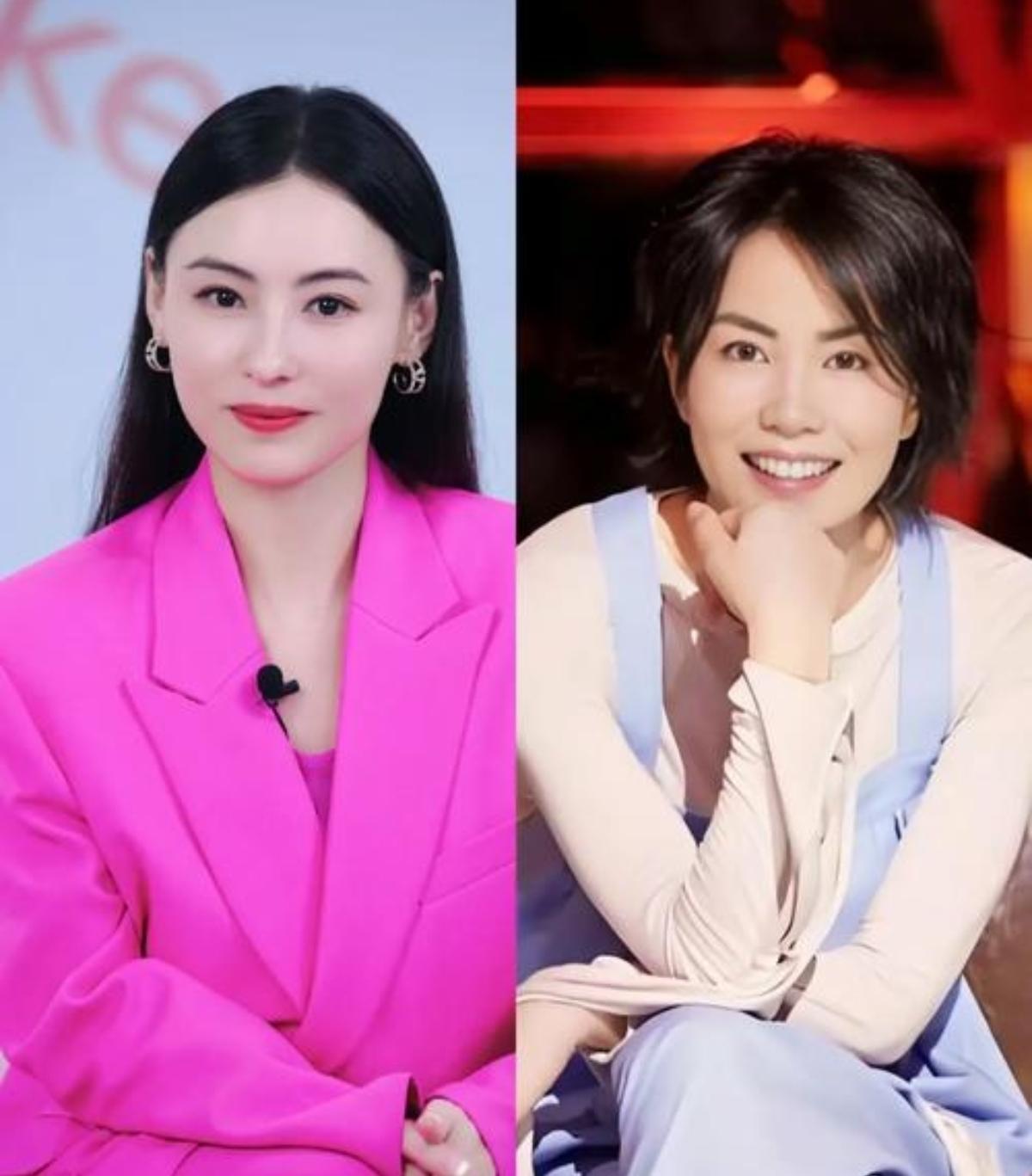 其实张柏芝和王菲根本不存在谁输谁赢的说法，两个人走的完全是不一样的人生剧本。张