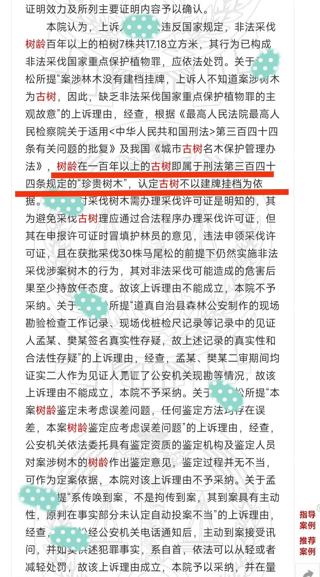 警方回应树龄超40年网红松树被盗挖¹如果只是40多年树龄，大概率罚钱、补种，不