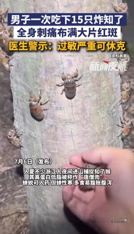 “无福消受！”7月6日报道，浙江，现在正是吃知了猴的季节，这东西高蛋白低脂肪味道