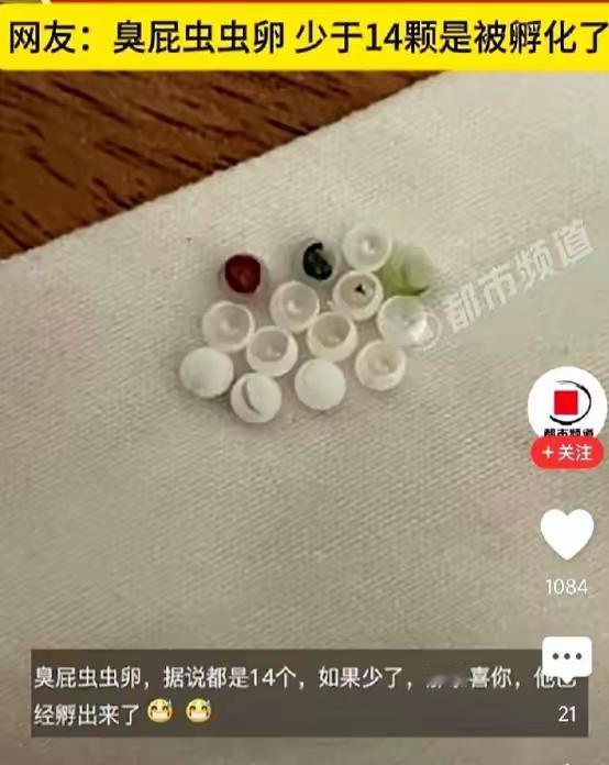 “太恶心了！”5月31日四川，一女子起床穿内衣，结果，却总感觉扣不舒服，她将内衣