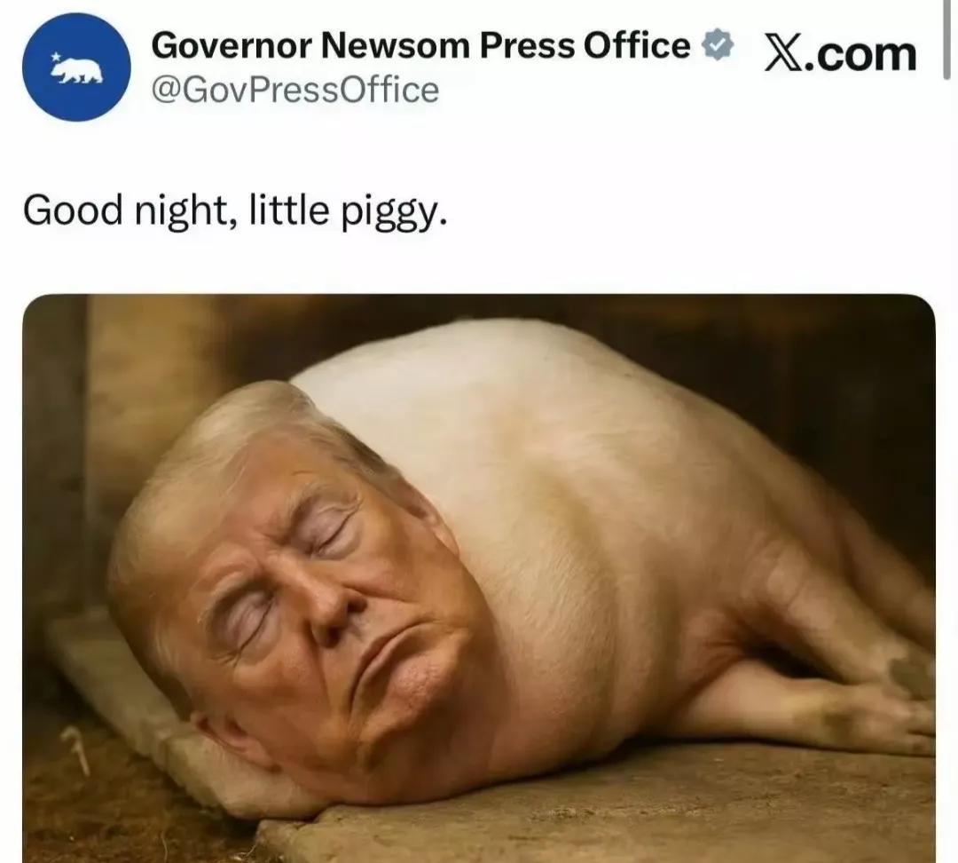 加州州长纽森在社交平台X上发了张图，把特朗普的照片P成了一头猪。这种赤裸裸的人身