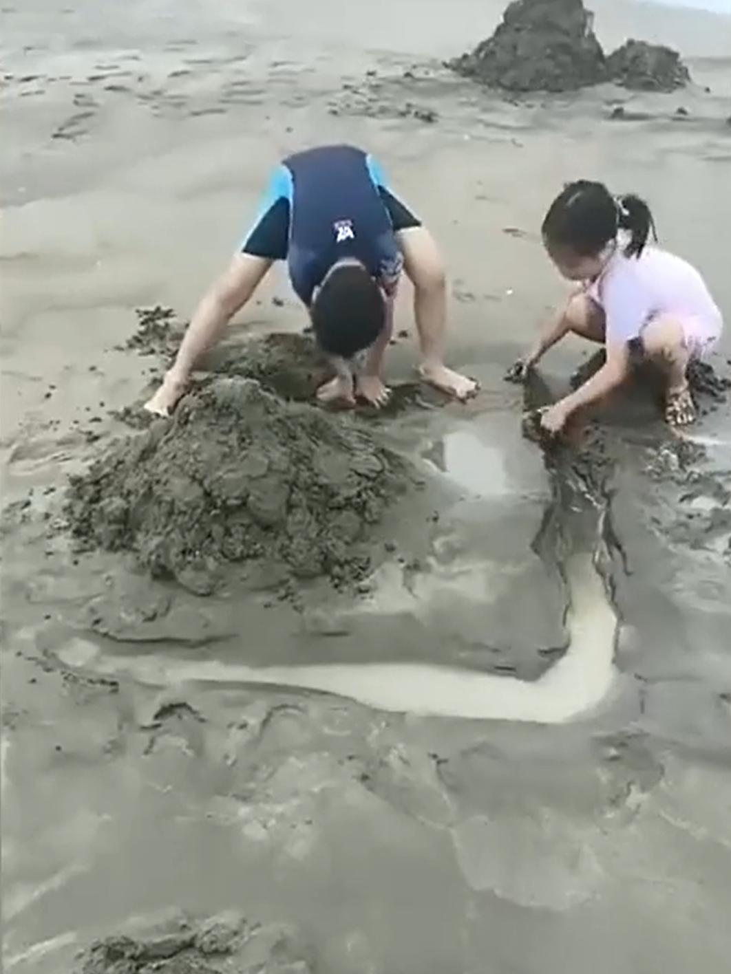 吵翻天！男子假期到新西兰旅游，在海边游玩时，发现一个有意思的现象，他吐槽：中国