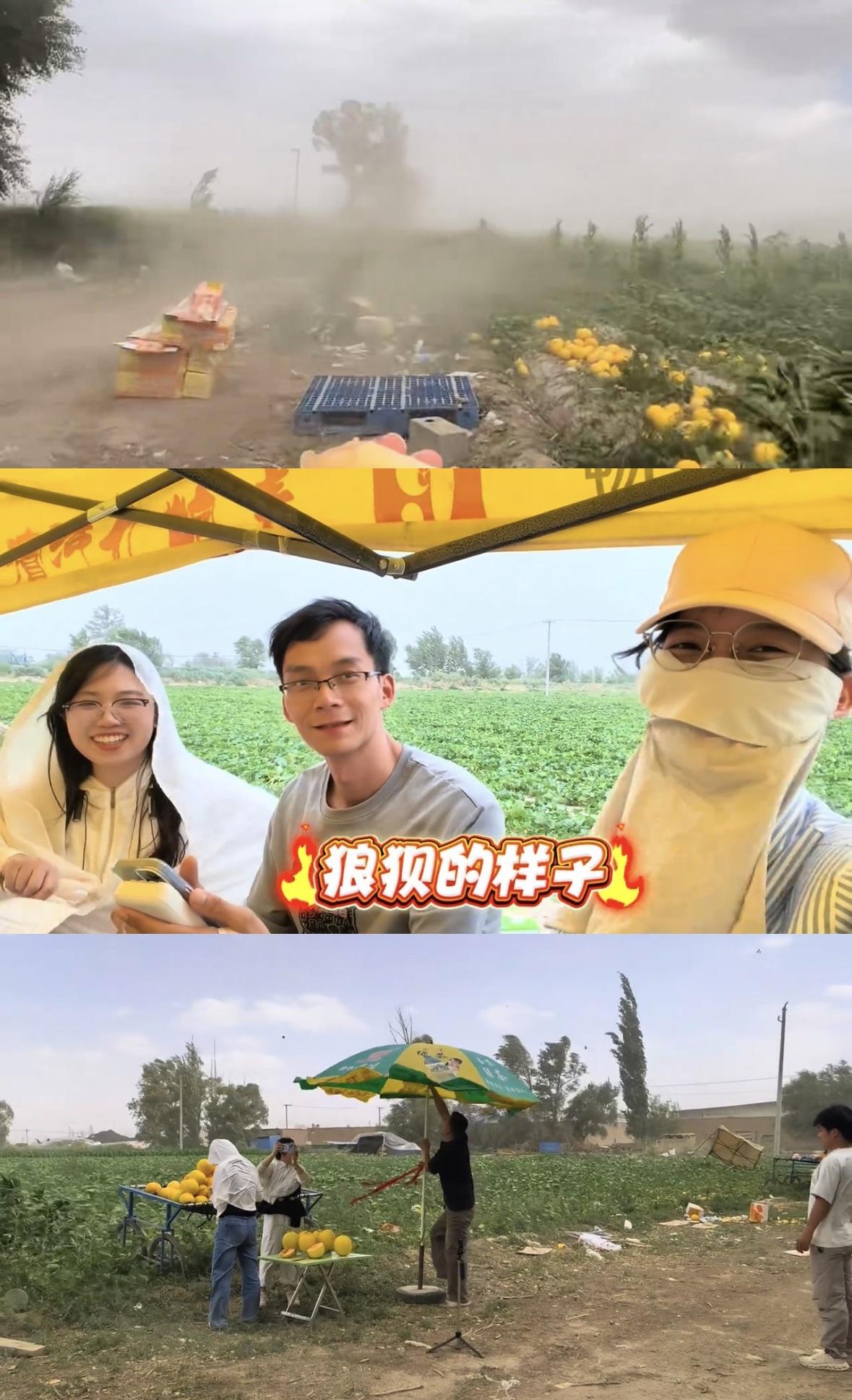 唐尚珺甘肃助农结束，四天帮助当地瓜农销售甜瓜超8万斤。成员莎莎说来甘肃助农跟