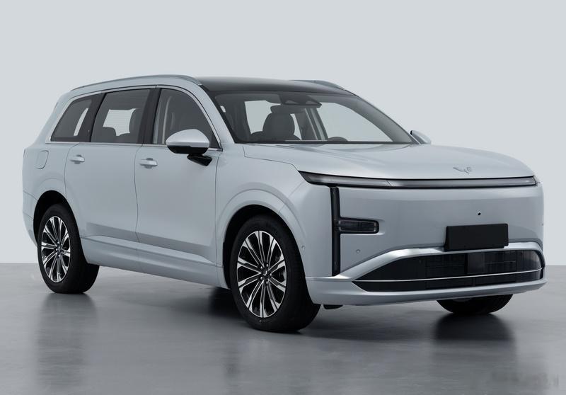 前几天我刚说“1.5T插混的大虎SUV是一个特色的细分大市场”，新公告里就出现五