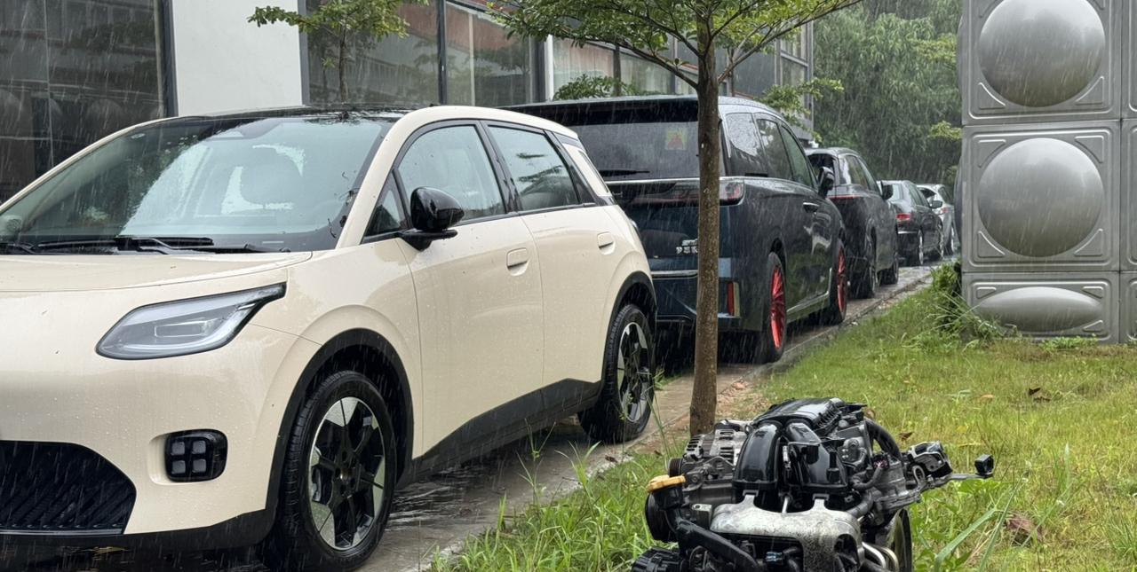 这次台风真的挺恐怖的深中通道凌晨就封闭了公司附近树都断了不少外面街道已经淹