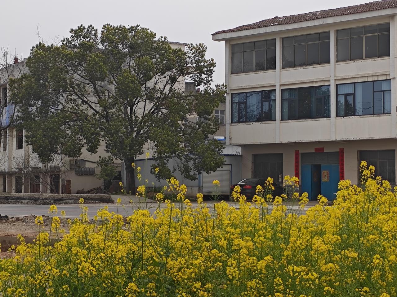 玄学，该不该相信？这其实是一个很难用“该”或“不该”来回答的问题。因为“玄学”这