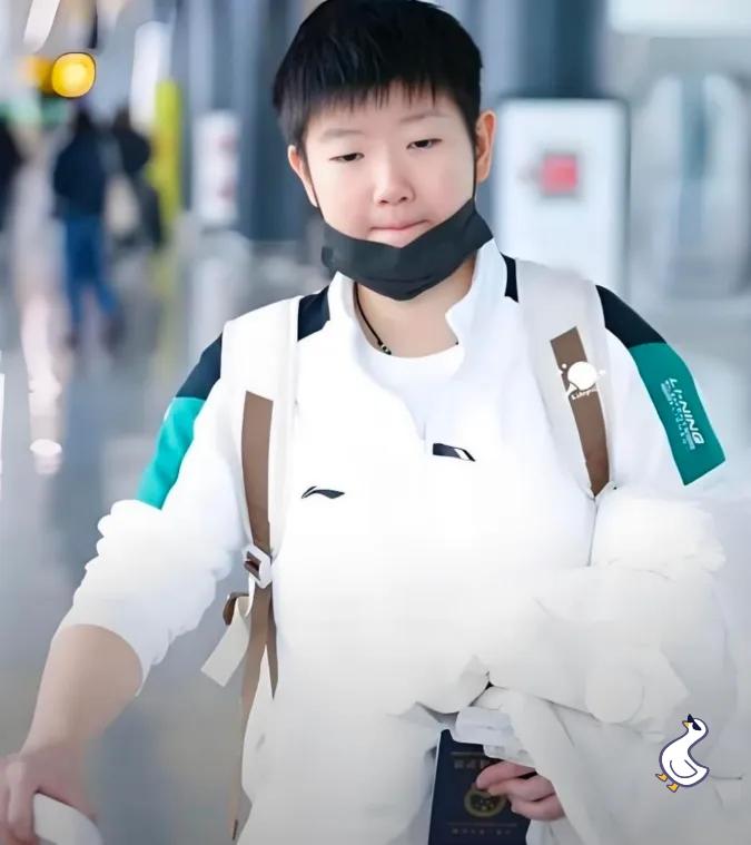 莎莎回京，是坐着轮椅下飞机的。她那双赢过无数冠军的脚，被严严实实裹在防护靴里