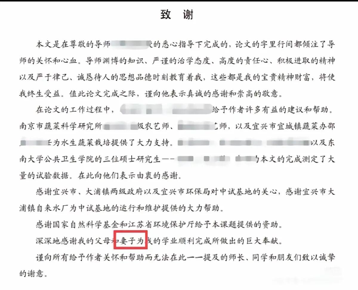 见鬼了，南师大这个副院长博导在论文致谢里，竟然感谢了他的妻子，一本正经地。他有