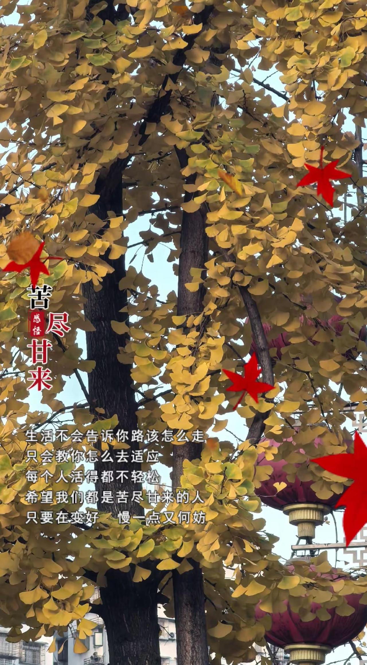 随走随拍大自然的美