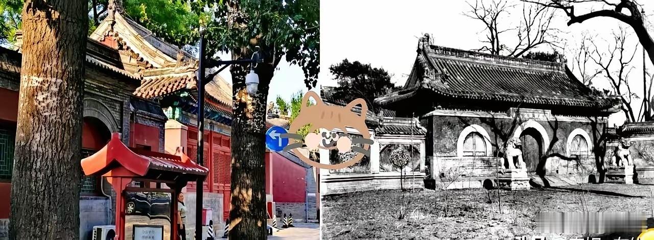 一句脱口的日语，让法雨寺的假面当场裂开。几位披袈裟的日本僧人，住了好几年，天天撞