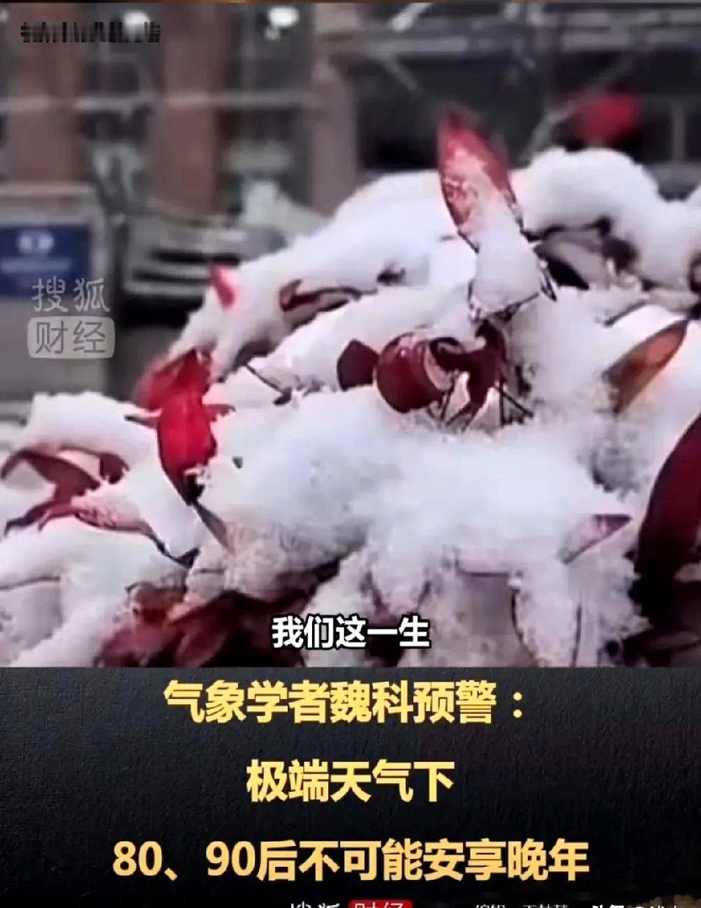 未来5年真的要迎来致命高温了吗？当代的年轻人已经不能安度晚年了？你发现了吗？