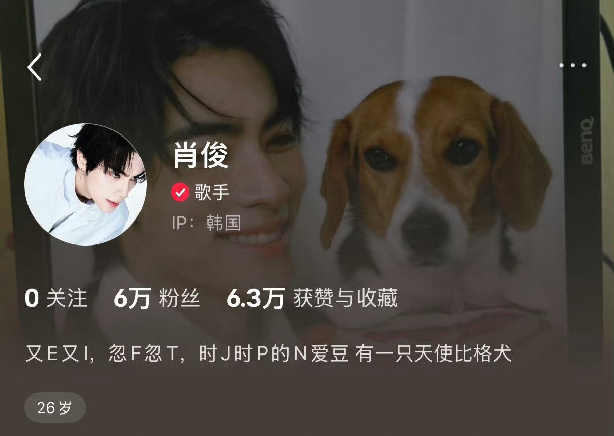 两只天使狗狗