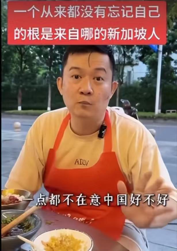 一位新加坡华人终于说出了实话，他表示，生活在新加坡的华人，其实并不关心中国的发展