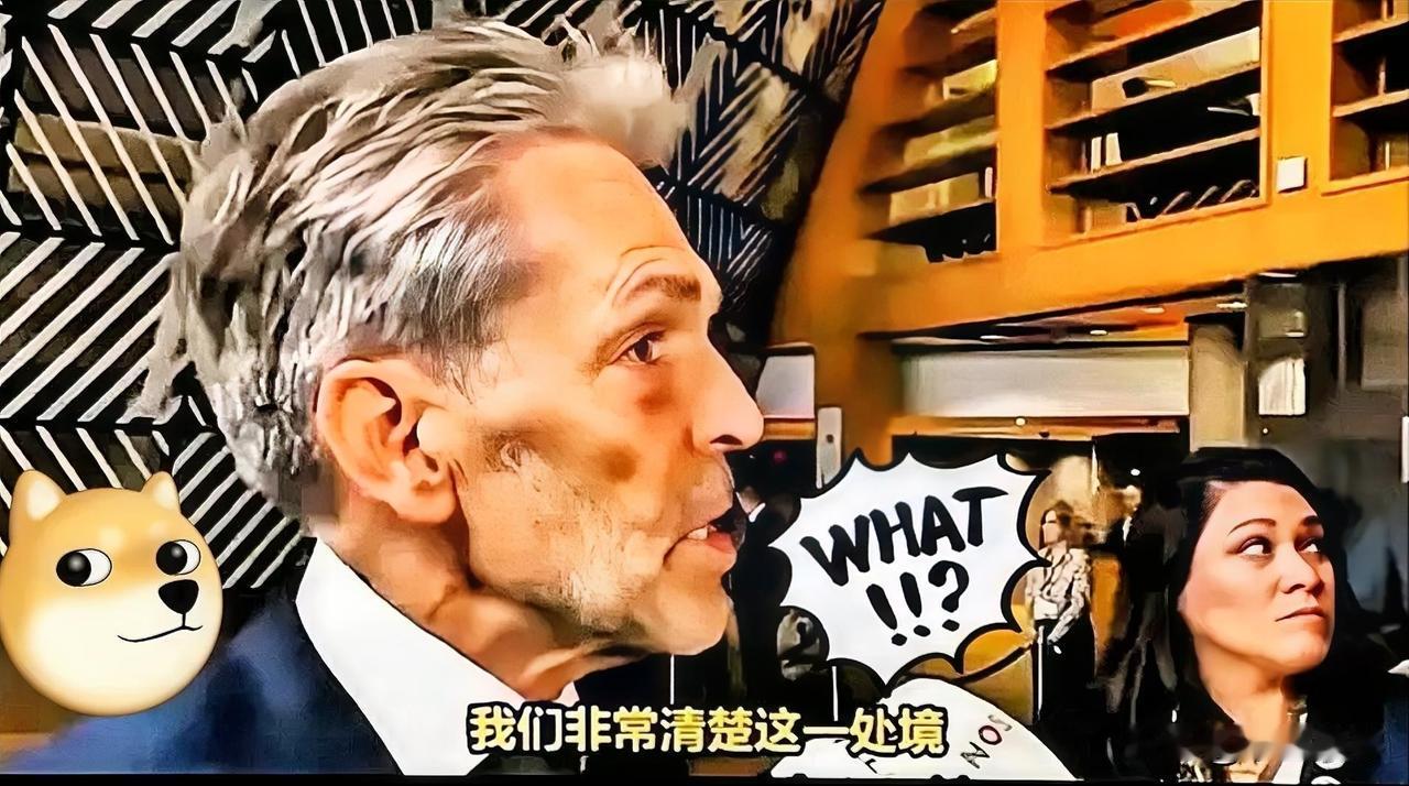 “斯霍夫,滚蛋!”这个口号响彻了阿姆斯特丹的街头。斯霍夫强行接管安世半导体,