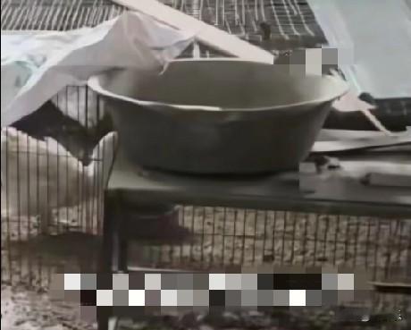 近日，福建泉州一男子建在老家的别墅长期空置期间，原本整洁的地下室被邻居搭建了三四