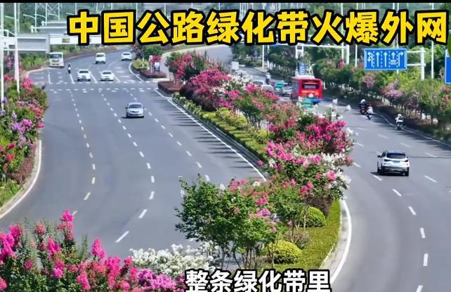 朋友中国绿化带的鲜花为什么没有人偷？他们甚至觉得中国马路边那么多鲜花是AI视频